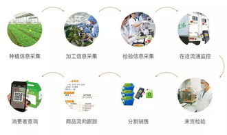 如何挖掘b2b蔬菜配送行业需求