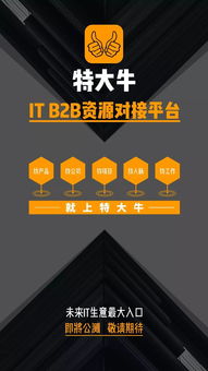 特大牛,it b2b 淘宝 人都来啦