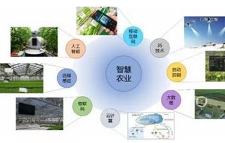 农企如何在智慧农业中脱颖而出,分得一杯羹