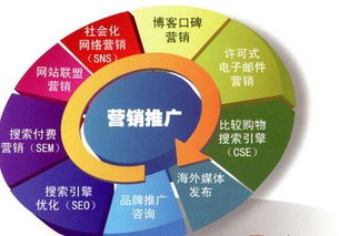 兰州网络推广公司类型